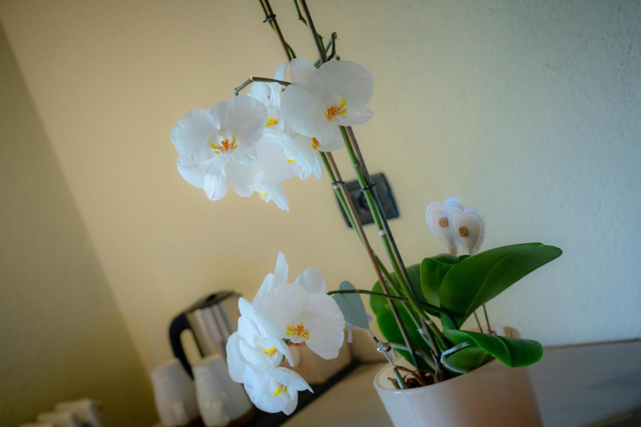 לה סאלה Villamour Boutique Hotel & Spa מראה חיצוני תמונה